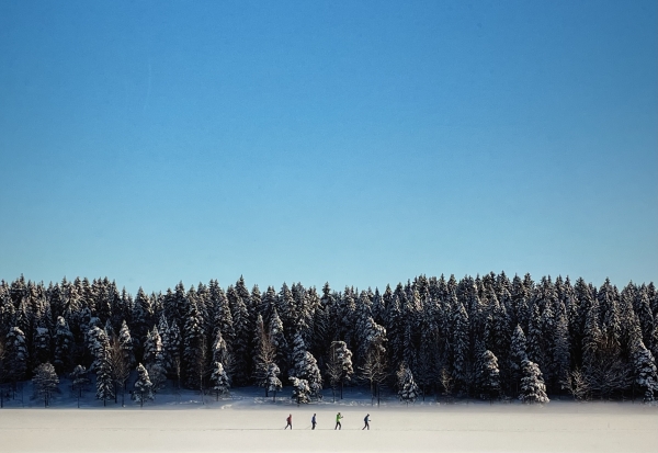 Cross-Country Skiers Sognsvann Lake, Norway 사진 이서정 기자