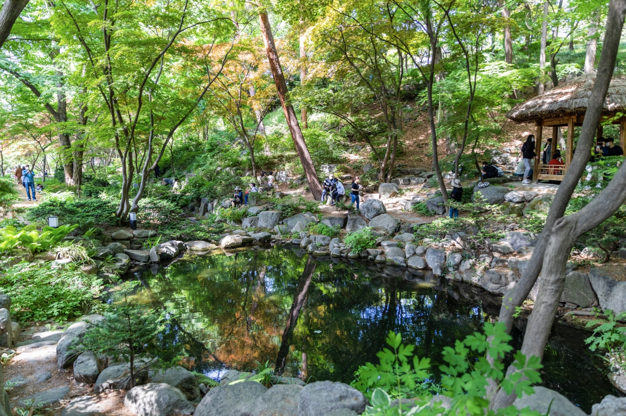 청와대엔 자연이 어우러진 경내 산책로 또한 존재합니다. 백악교 연못가에 비친 푸르른 수목에 마치 연못이 아닌 거울을 보는 듯합니다. 사진 김수현 기자