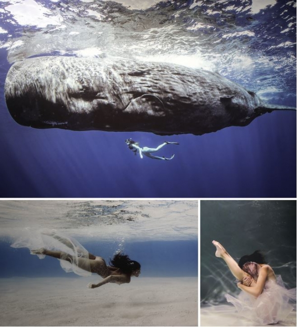 푸른 바다 아래에는 자연과 인간이 공존하는 세계가 존재한다. 'Miracle N°2'는 고래와 인간이 함께 유영하는 모습을 담아냈다. 좌측 'Plastic Ties N°2'와 우측 'Plastic Mermaid N°3'는 아름답지만 관람객은 이가 바다 쓰레기로 만들어진 아름다움이라는 것을 깨닫는다.